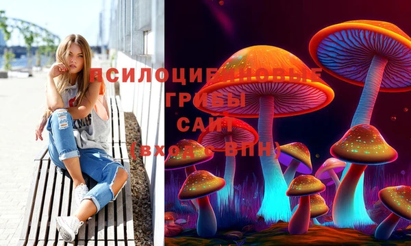 а пвп мука Абдулино